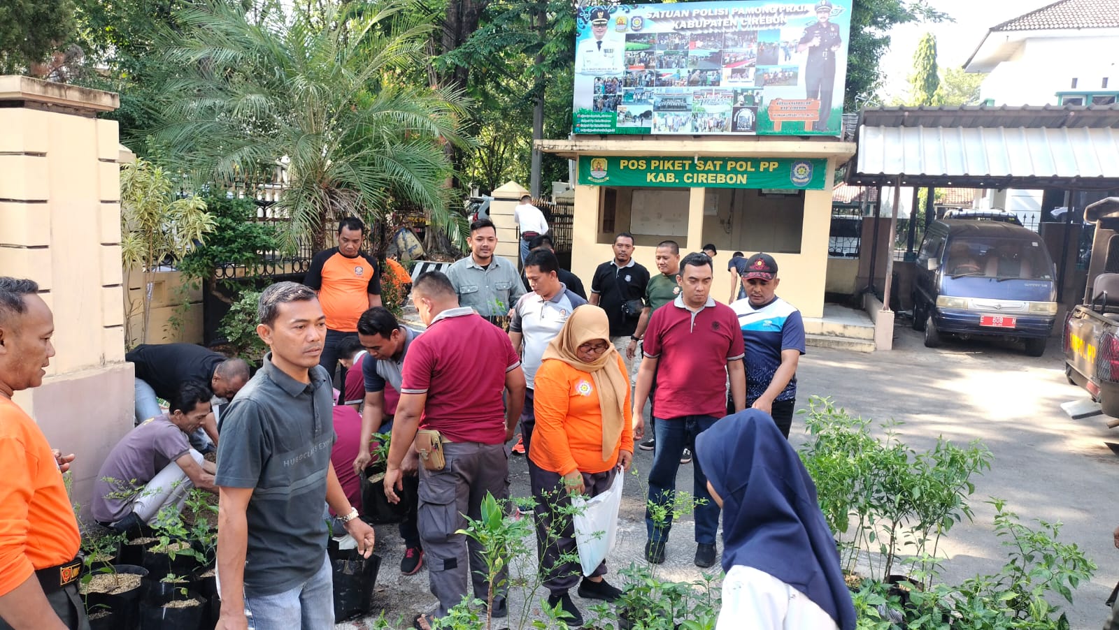 Satpol PP Kabupaten Cirebon Laksanakan Kegiatan Jumat Bersih dan Penanaman Bibit Cabai